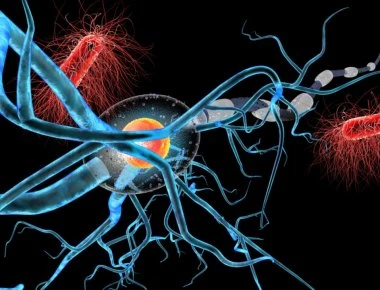 Βίντεο: Το πρώτο έξυπνο χάπι «κατάσκοπος» για έλκος και καρκίνο